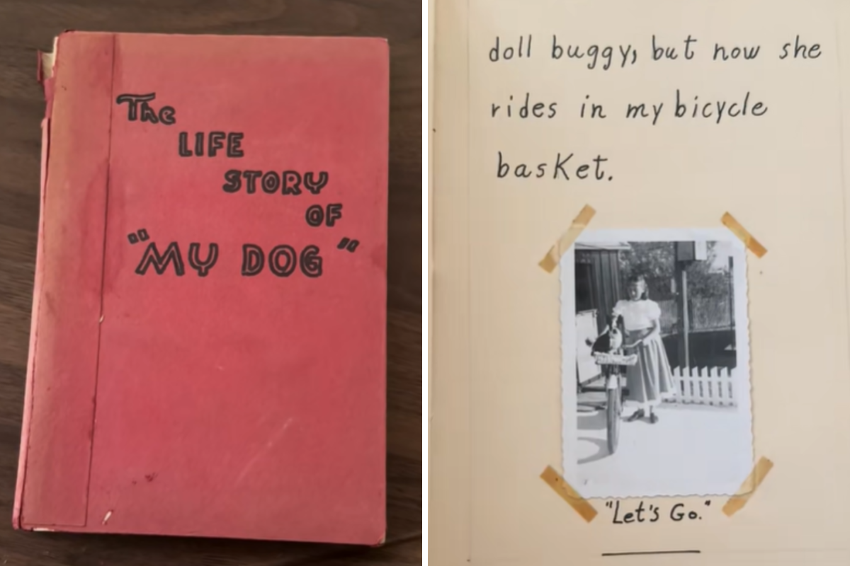 Diary