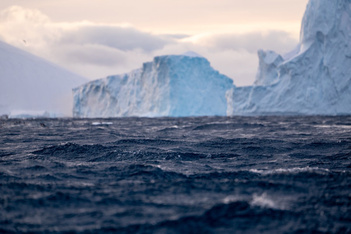 Truth take a look at: Did an ocean present opposite?