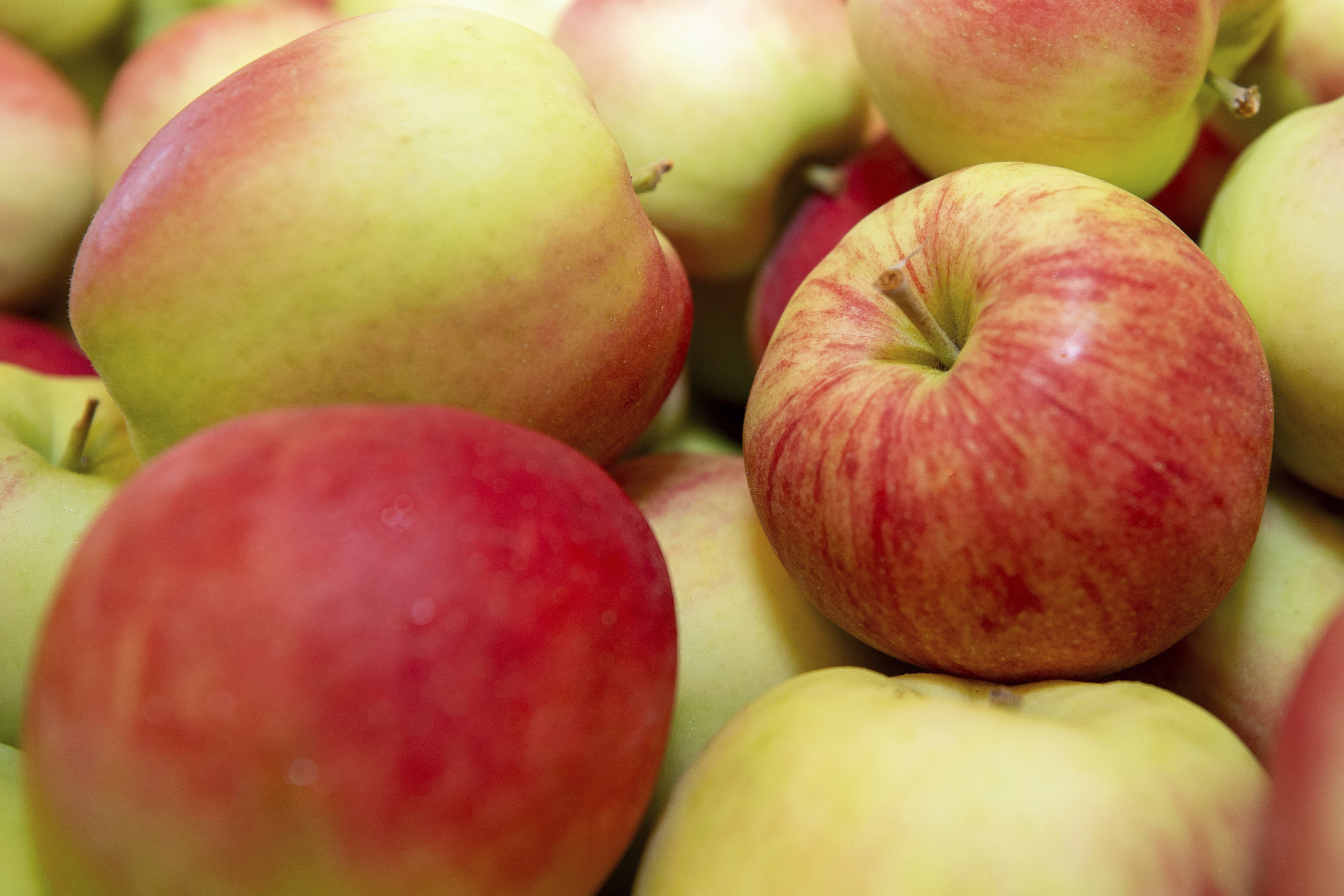 FDA Issues Risk Warning as Apples Recalled in Four States