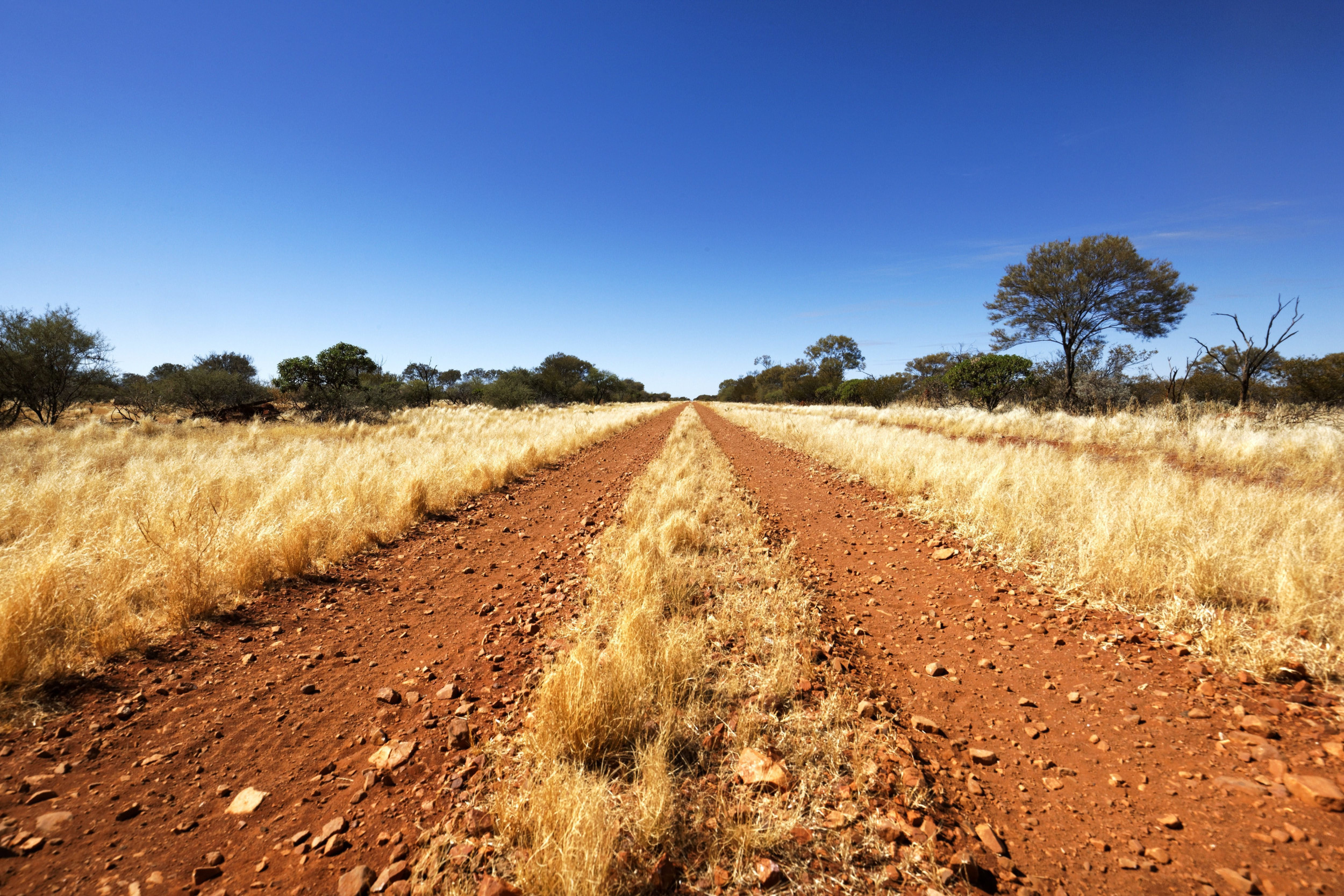 Backpacker Found Alive After Nearly 2 Weeks Missing in Australian Outback