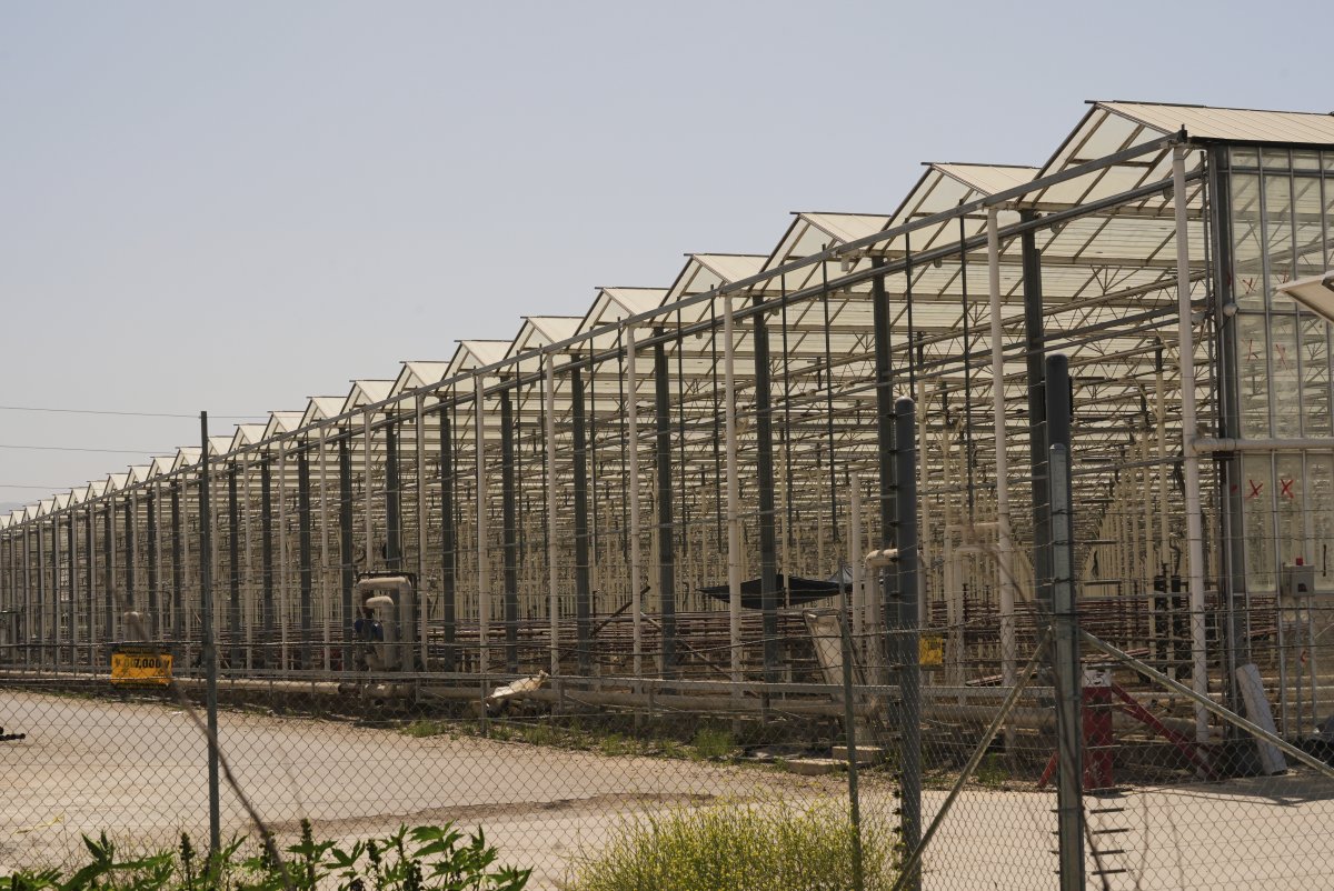 Glass House Farms
