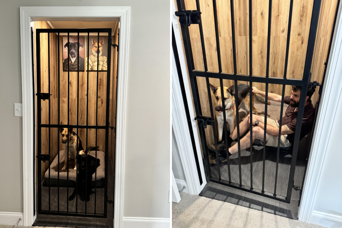 Dog "jail"