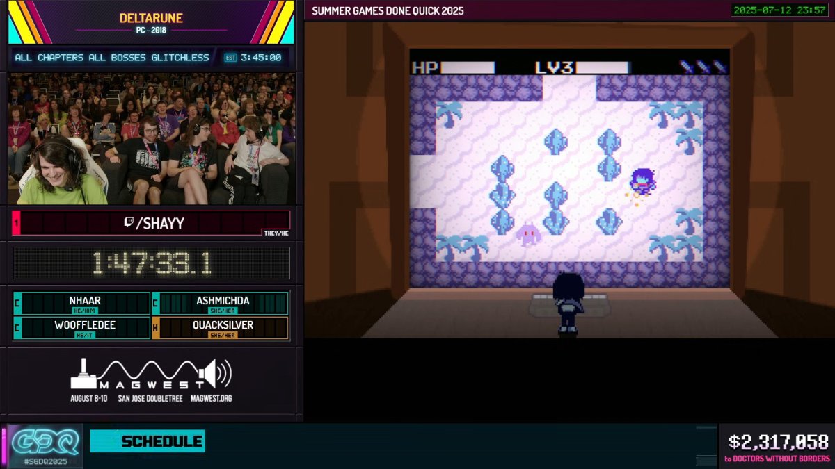 SGDQ 2025 Deltarune