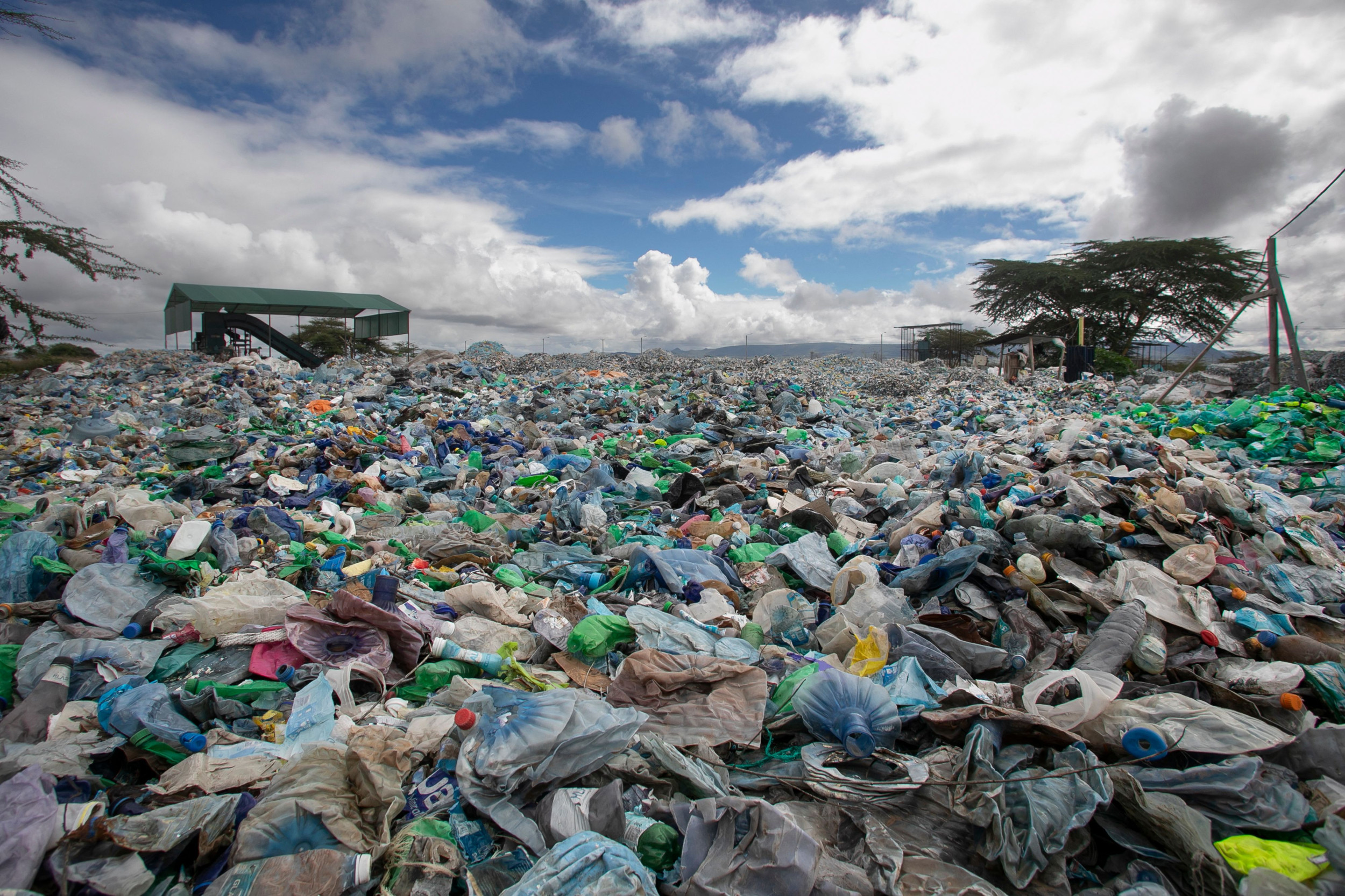 newsweek.com - Jeff Young - States are key to controlling plastic waste, but study shows few have acted