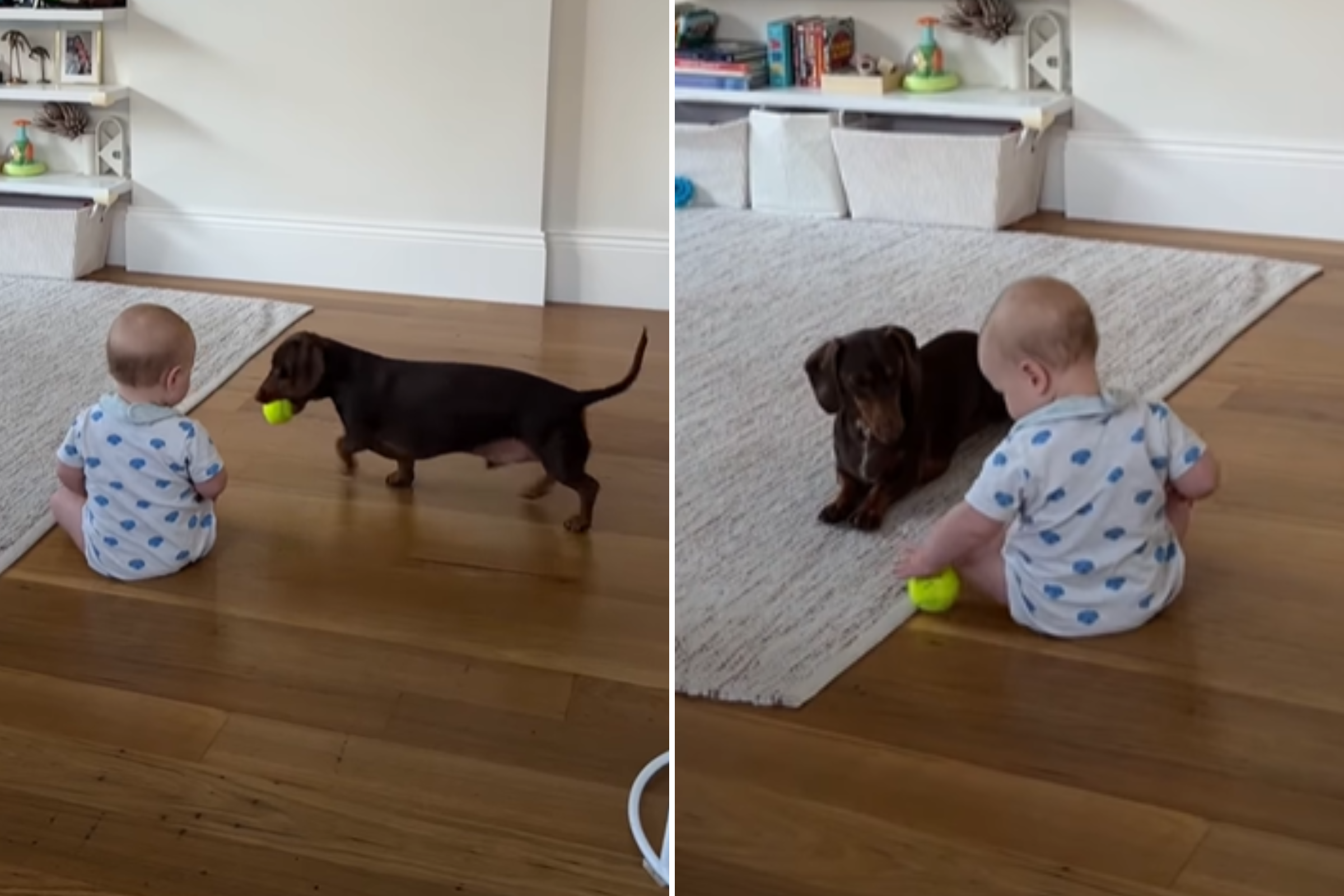 Mom Films Moment She Knew Baby and Dachshund Would Be Lifelong Friends