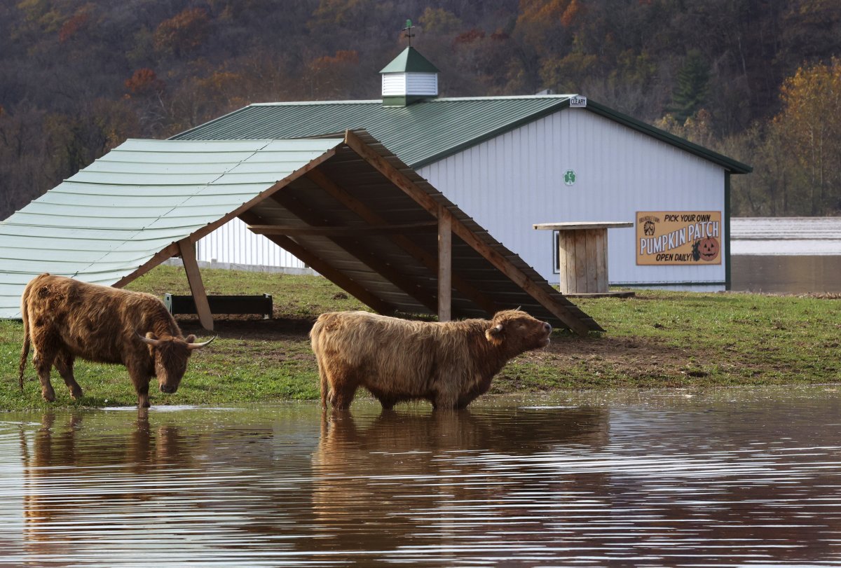 Flooding