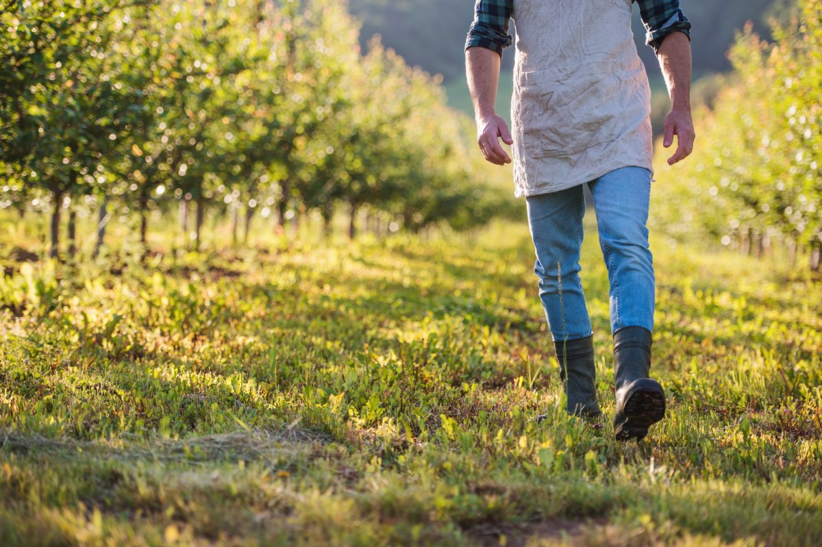 Man walking through field.