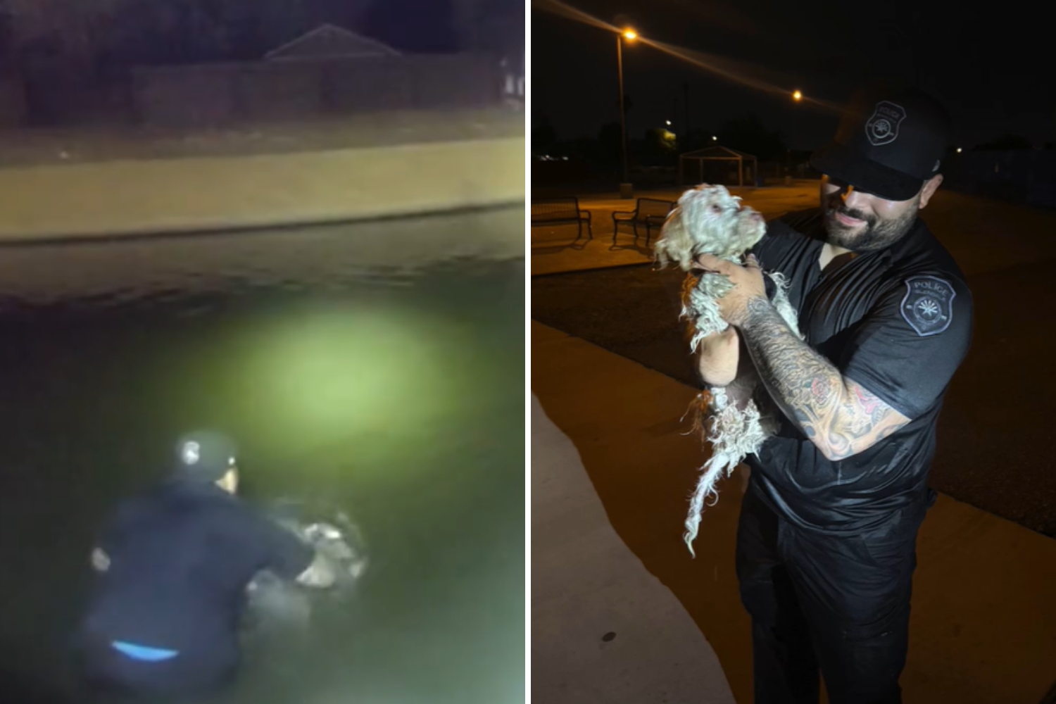 Cop Jumps Into Canal To Save Stranded Dog—Bodycam Captures It All ...