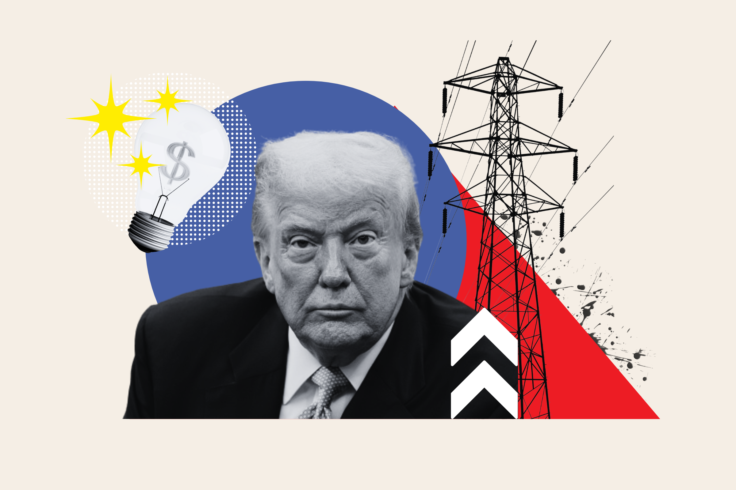 www.newsweek.com