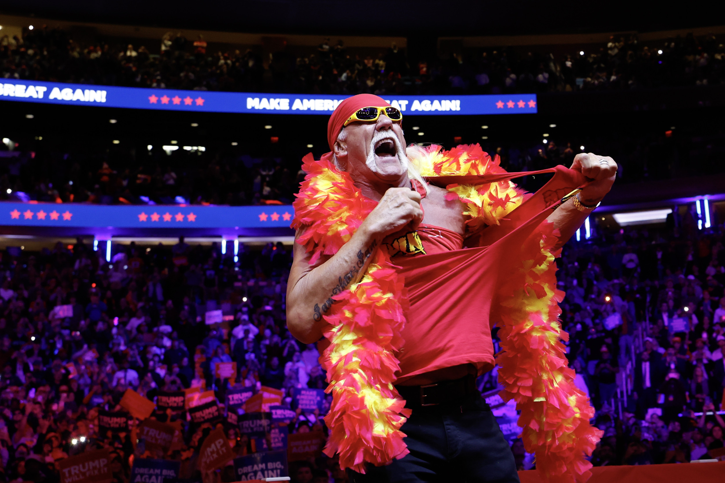 hulk hogan