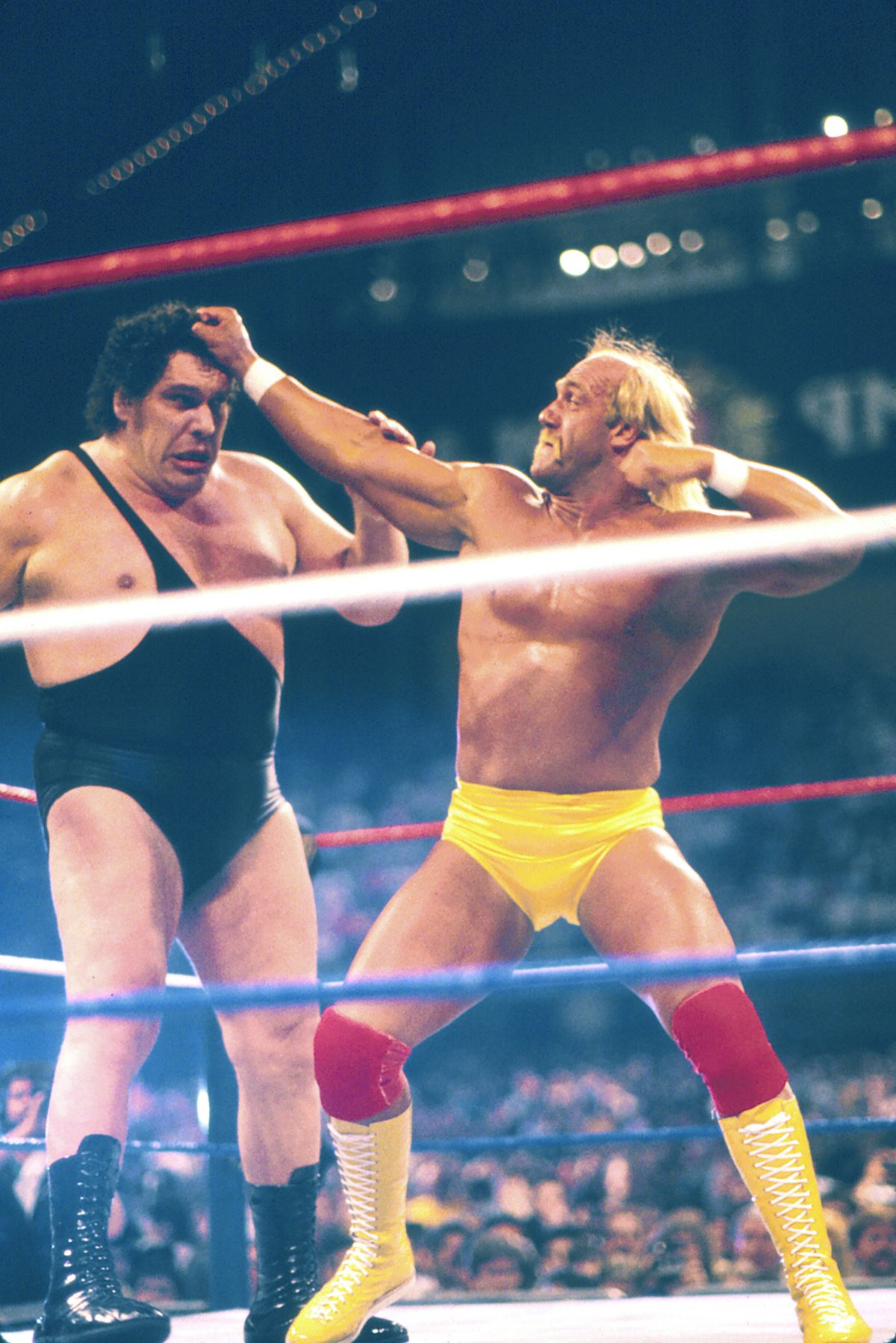 Hulk Hogan vs Andre the giant