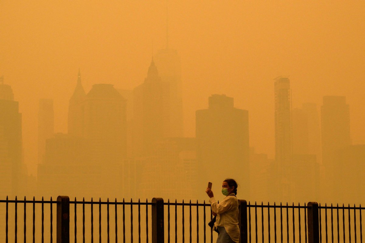 New York Forest Smoke