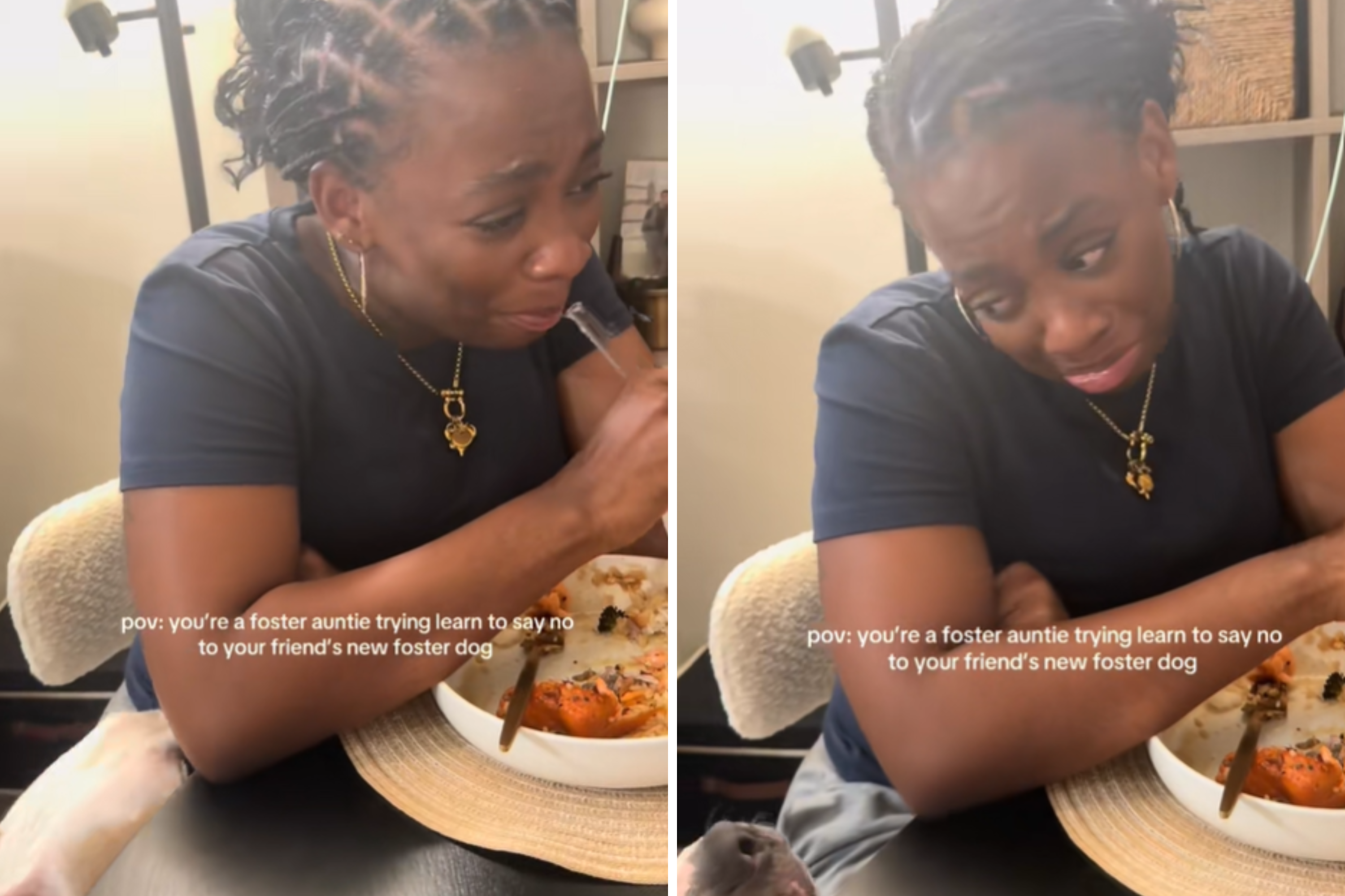 Laughter As Foster Dog Identifies Weak Link in Quest To Get Table Scraps