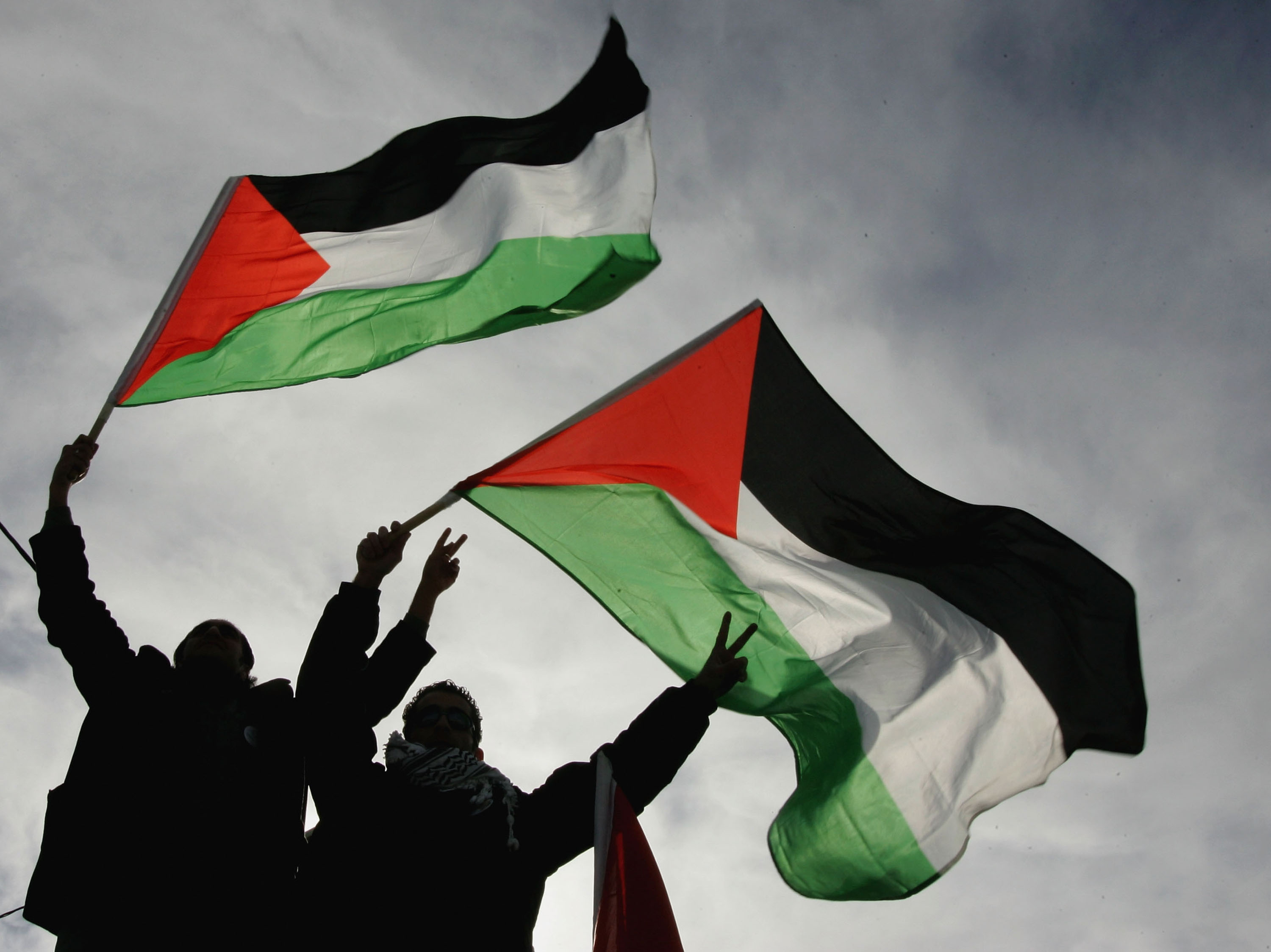 https://d.newsweek.com/en/full/2692591/map-shows-countries-recognize-palestine.jpg