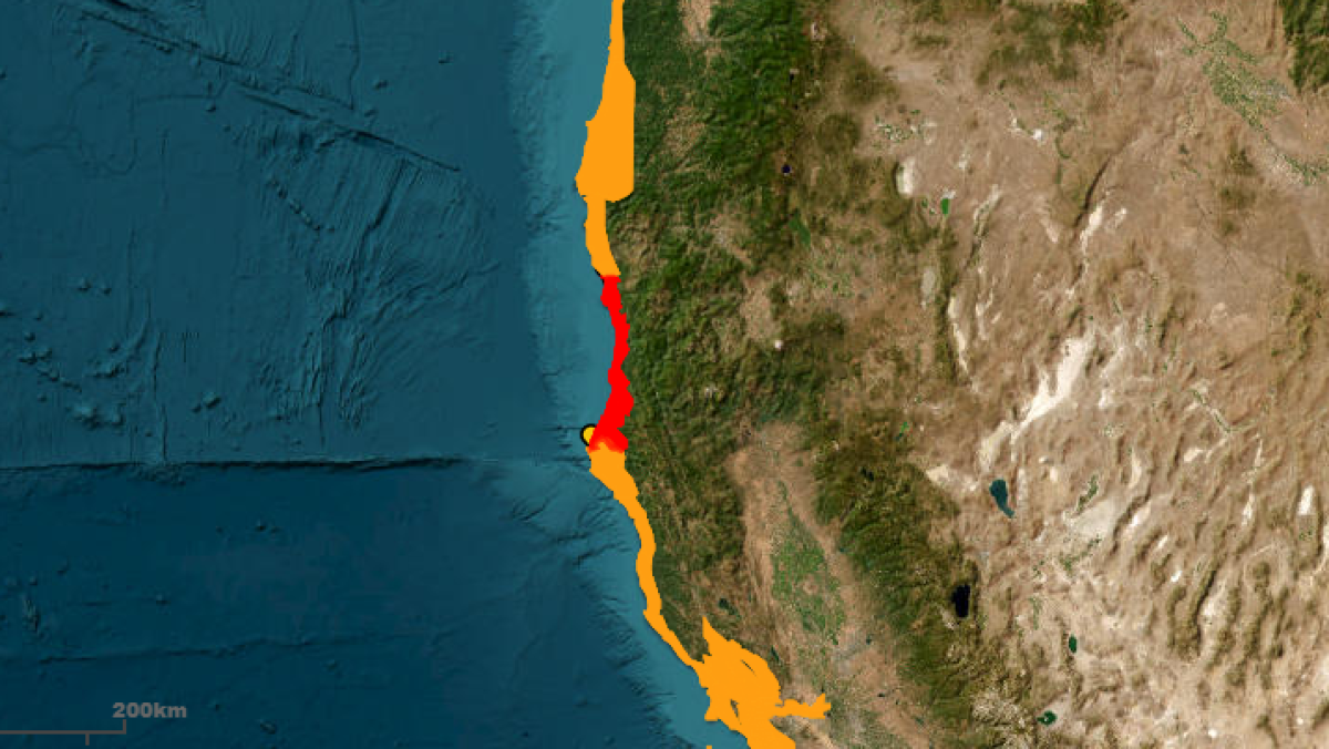 Ca tsunami