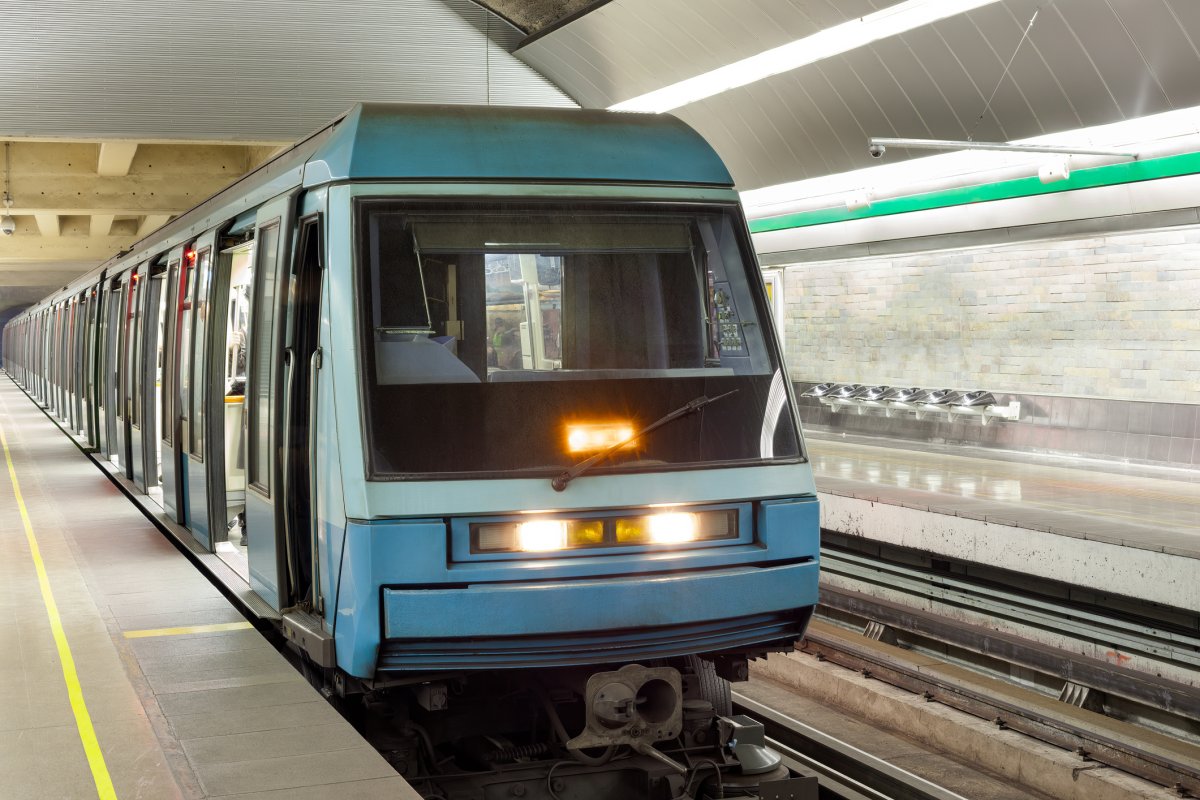 Unexpected Passenger Boards Subway ‘Like She Was Headed To Work’—Goes Viral