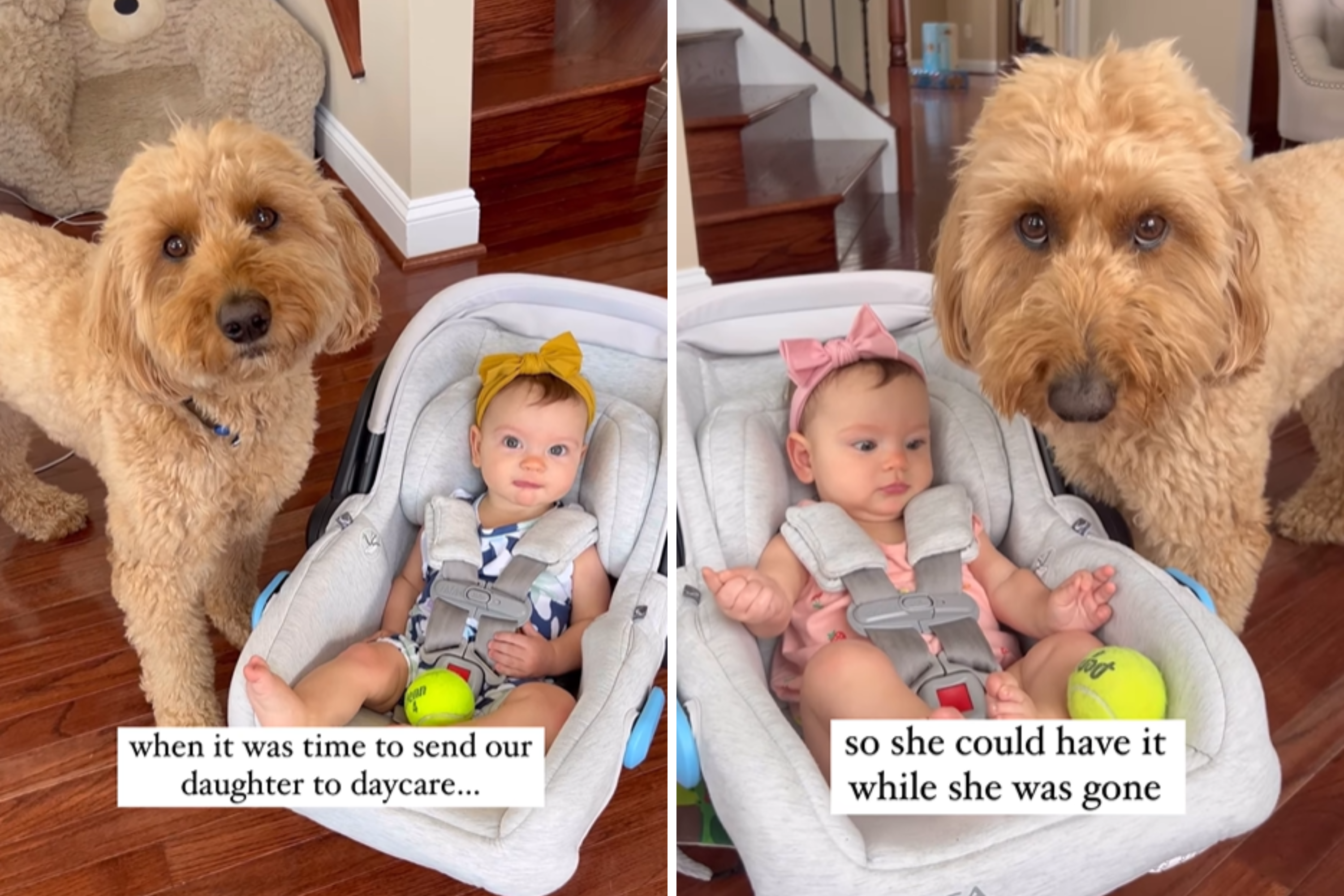 Baby Prepped for First Daycare Session, Dog Knows How To Comfort Her