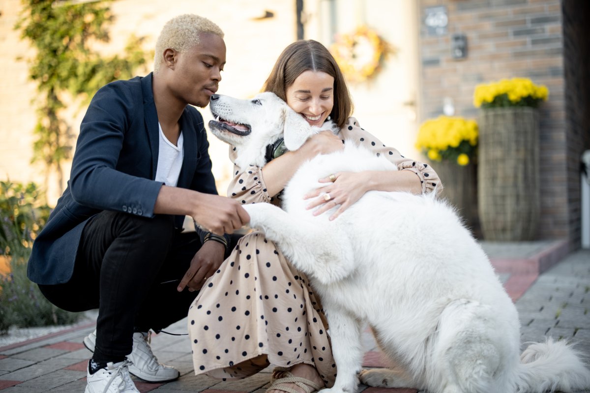 Hug Dog couple