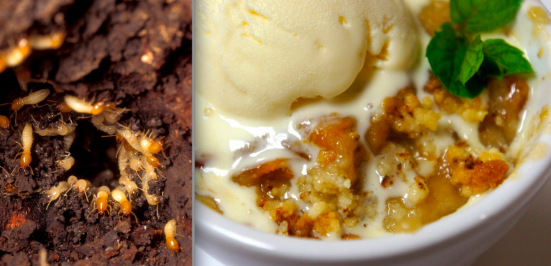 Termites and Termite streusel