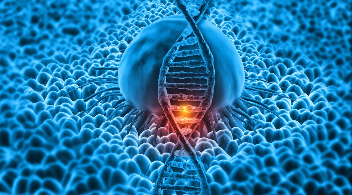 DNA and cancer cells