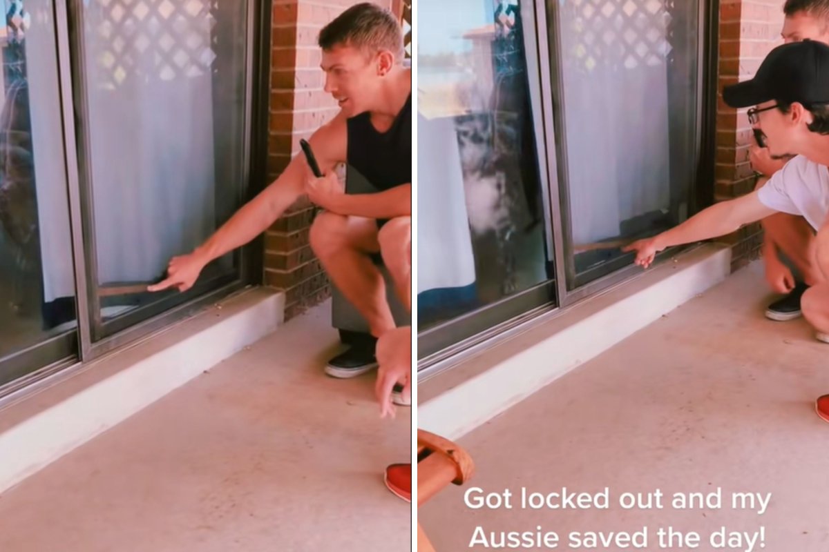 Dog unlocks sliding door
