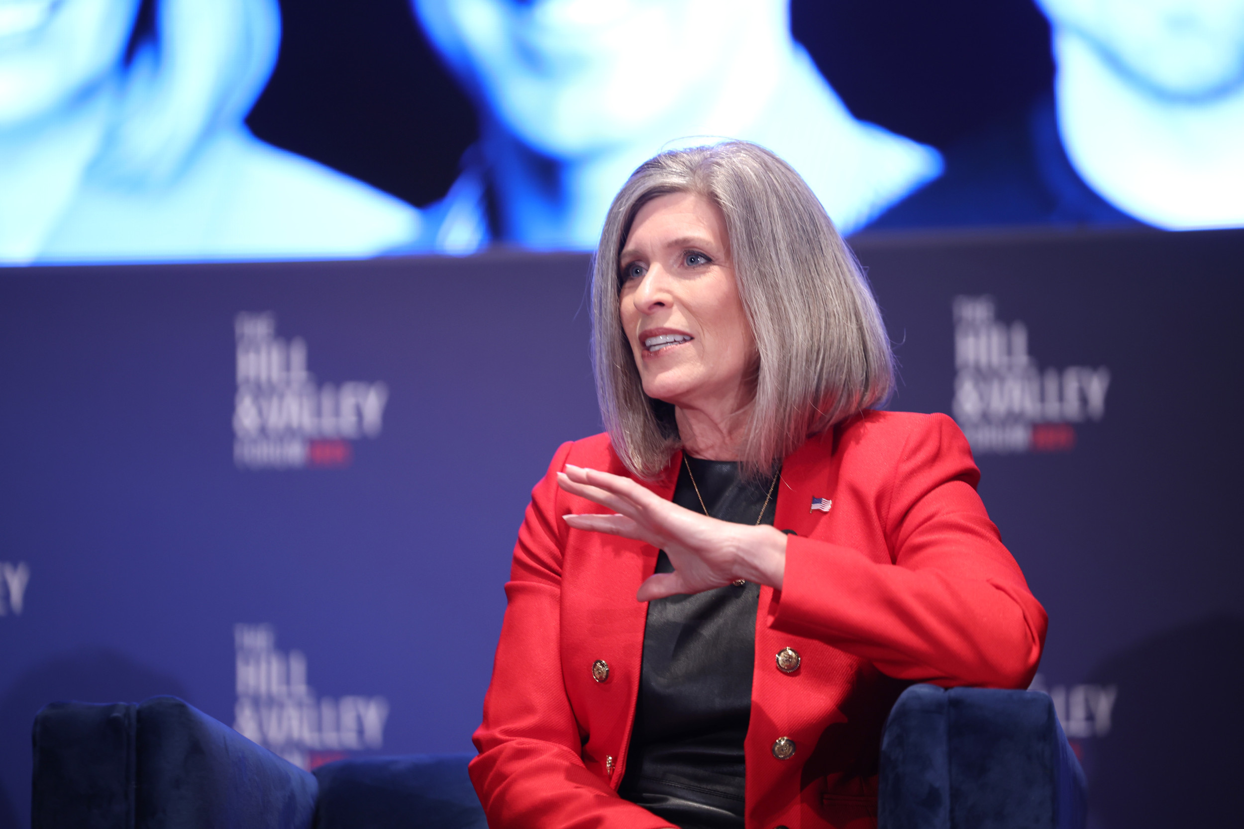 Senate Control Risks Rise as Democrats Target GOP Seats in Iowa, Minnesota