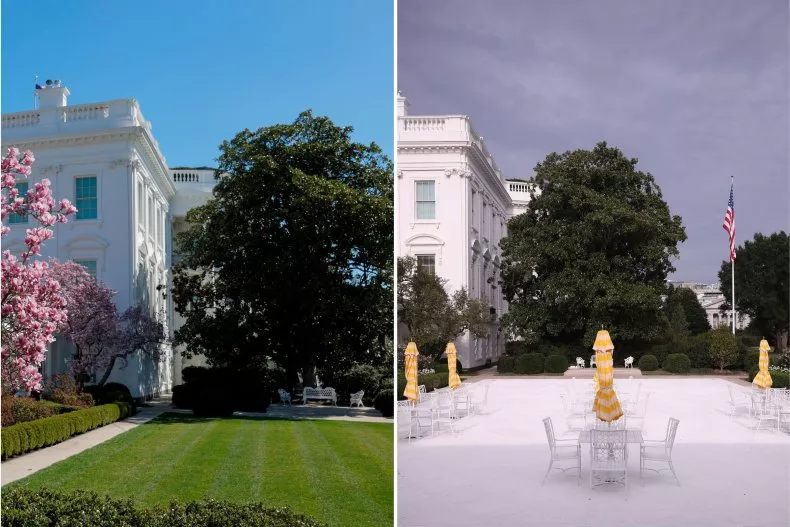 white-house-rose-garden.webp
