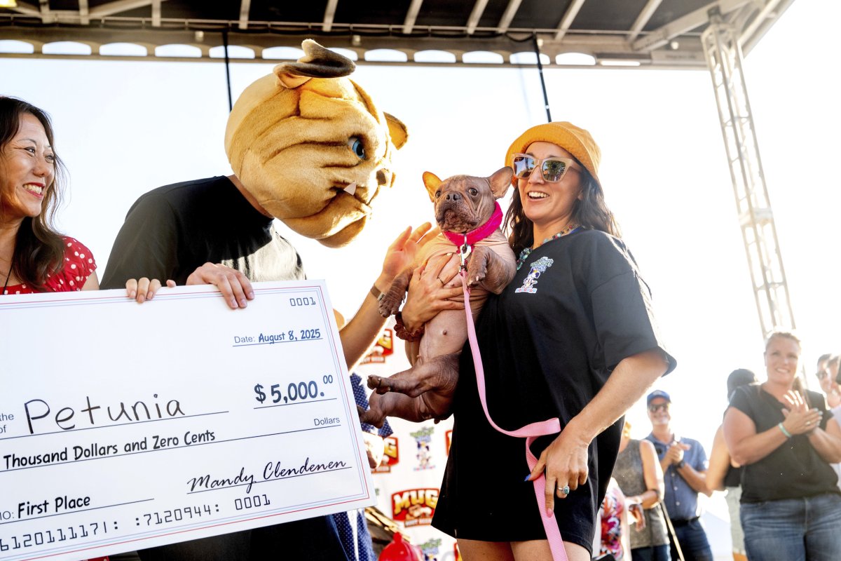 World's Ugliest Dog