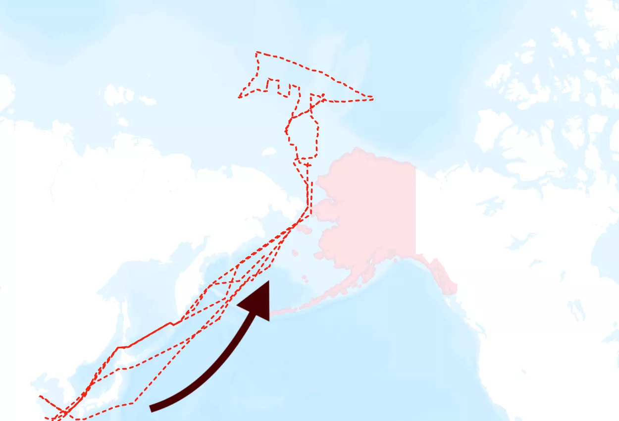 https://d.newsweek.com/en/full/2699962/map-shows-chinese-icebreakers-off-alaska.webp
