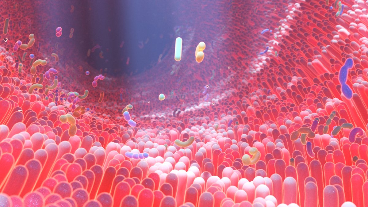 Microbioma intestinal