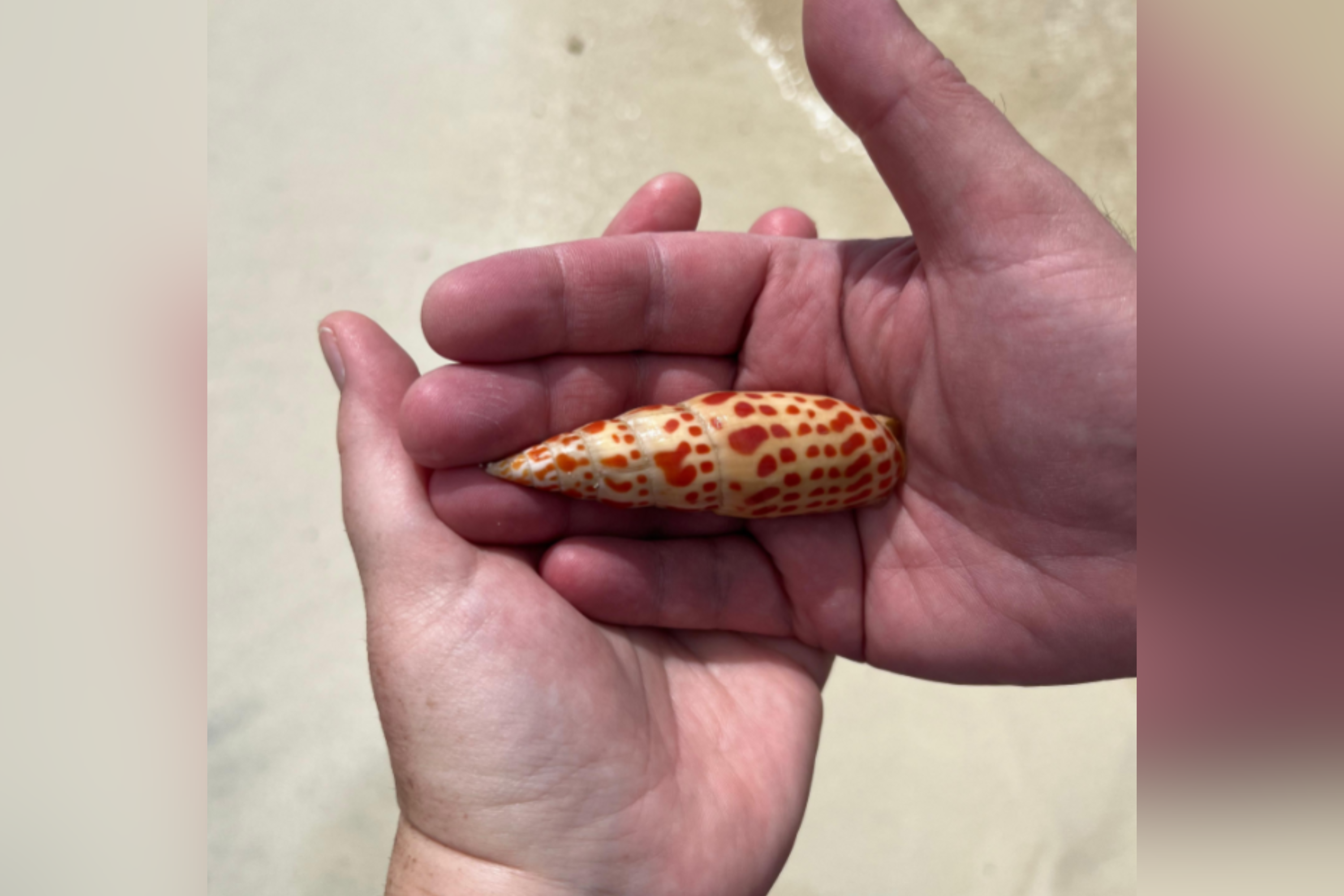 Couple Take 'Romantic' Beach Pic—Horror As They Fear Danger in Plain Sight
