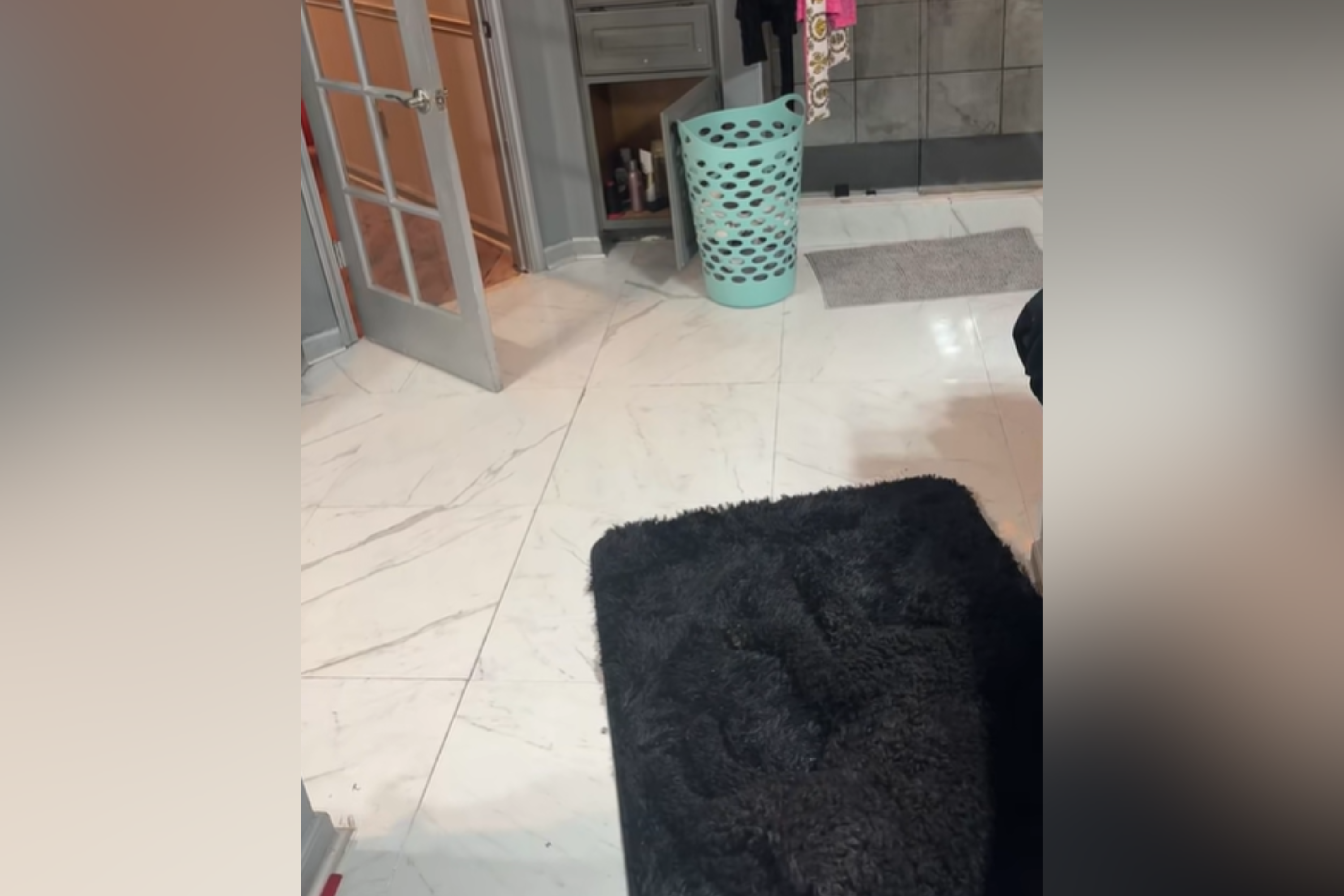 Owner keeps tripping over dog—reason why leaves viewers in stitches