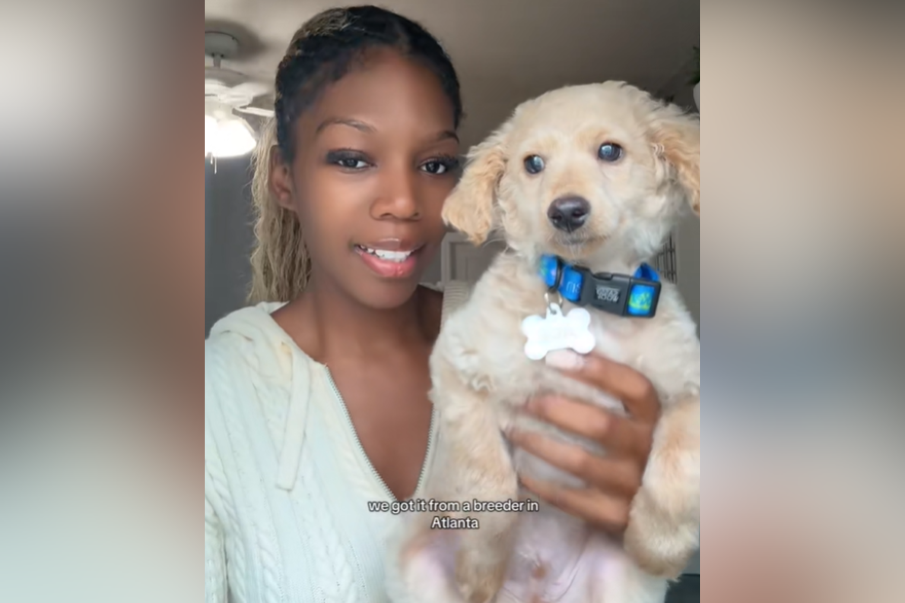 Woman Told Shes Getting Miniature Poodle&mdash;2 Months Later Realizes Mistake