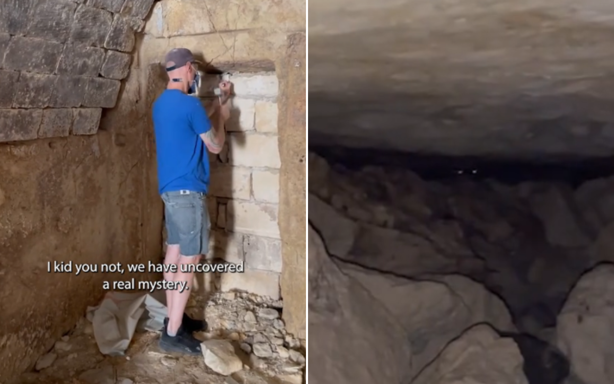 Marianne Pfeffer made an unexpected discovery.