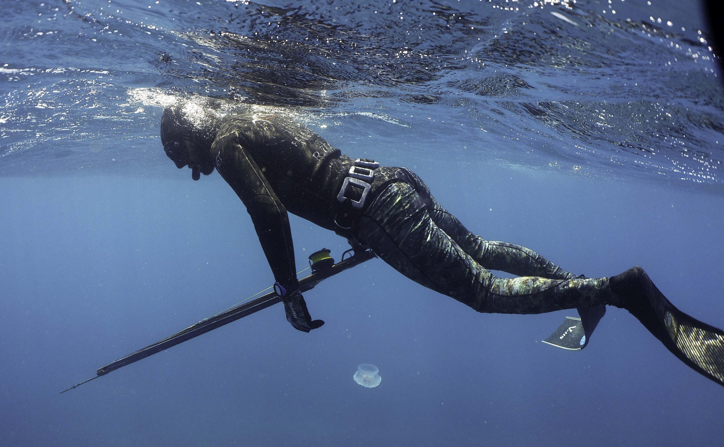 https://d.newsweek.com/en/full/2704275/spearfishing.jpg