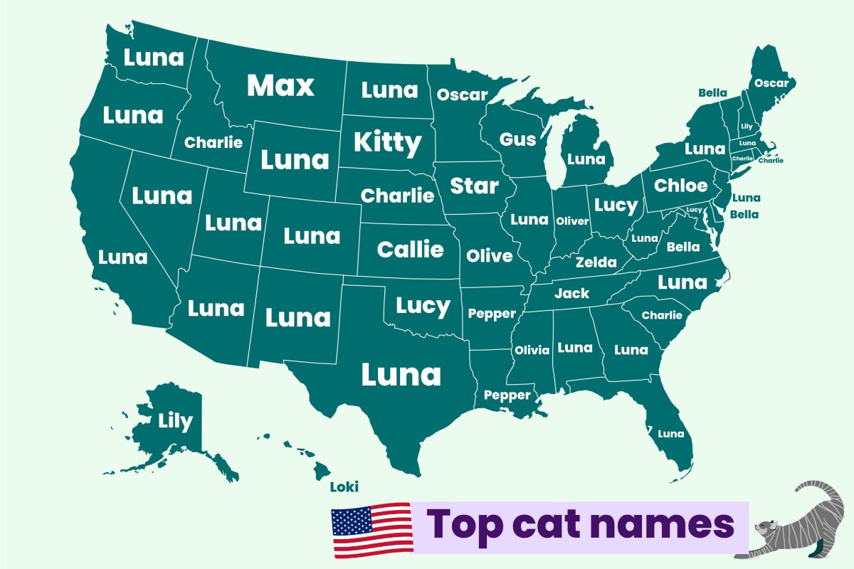 Top cat names state 2025