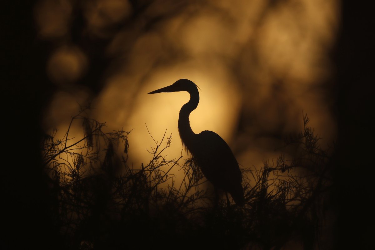 Everglades National Park 2019