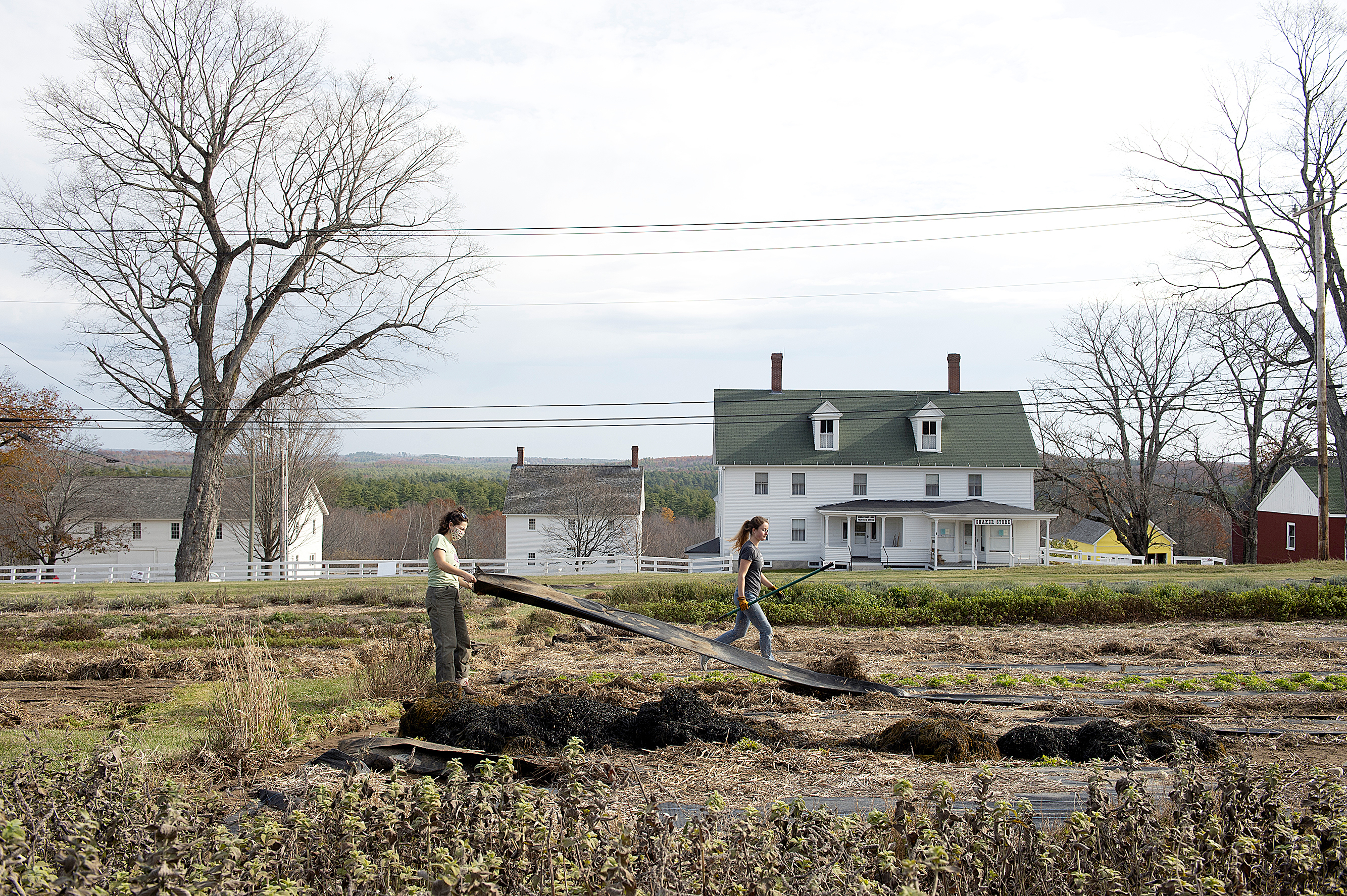 https://d.newsweek.com/en/full/2706100/sabbathday-lake-shaker-village.jpg
