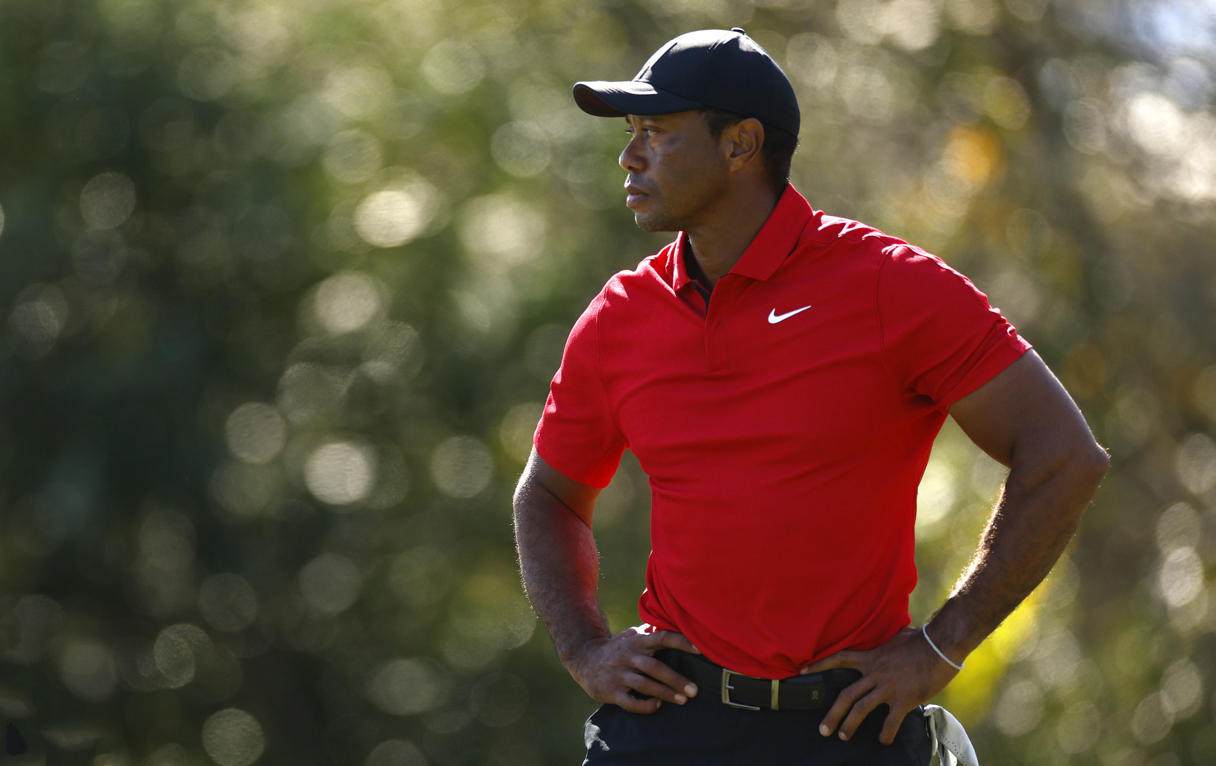 Tiger Woods Named Chairman of PGA Tour Future Competition Committee
