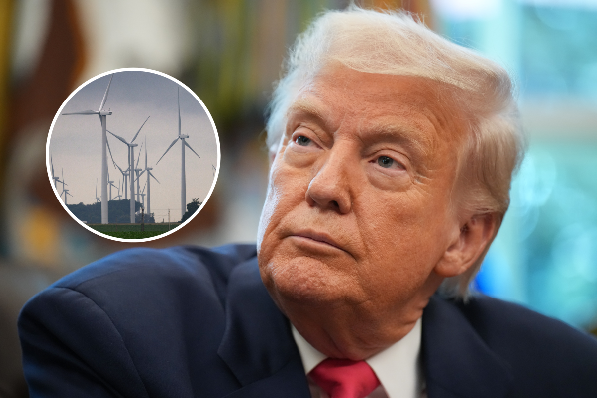 trump windmills