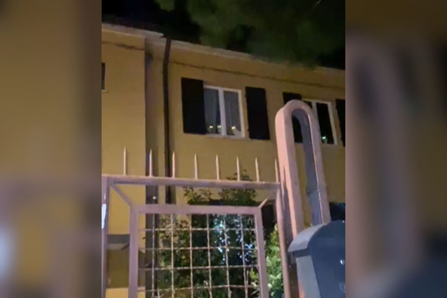 What Shocking Scene Did Cat Owner Discover Upon Returning Home?