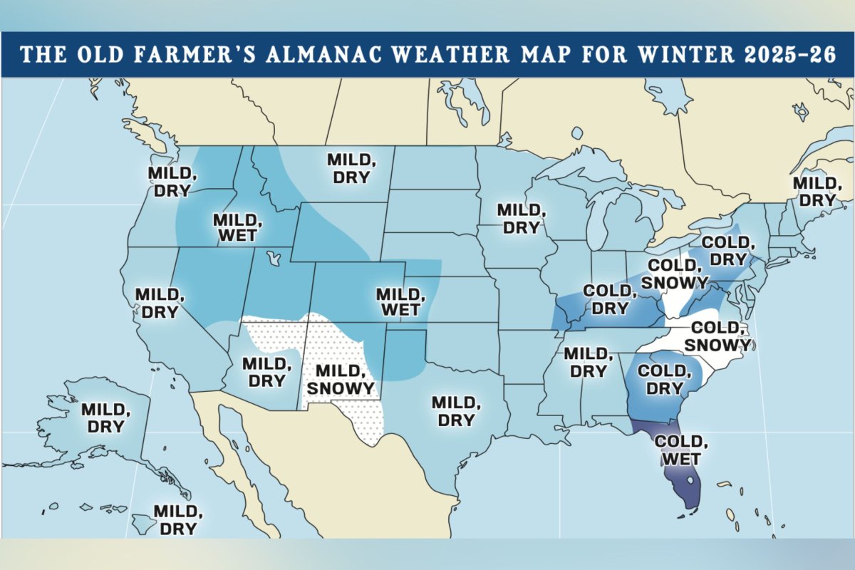 OFA's winter prediction