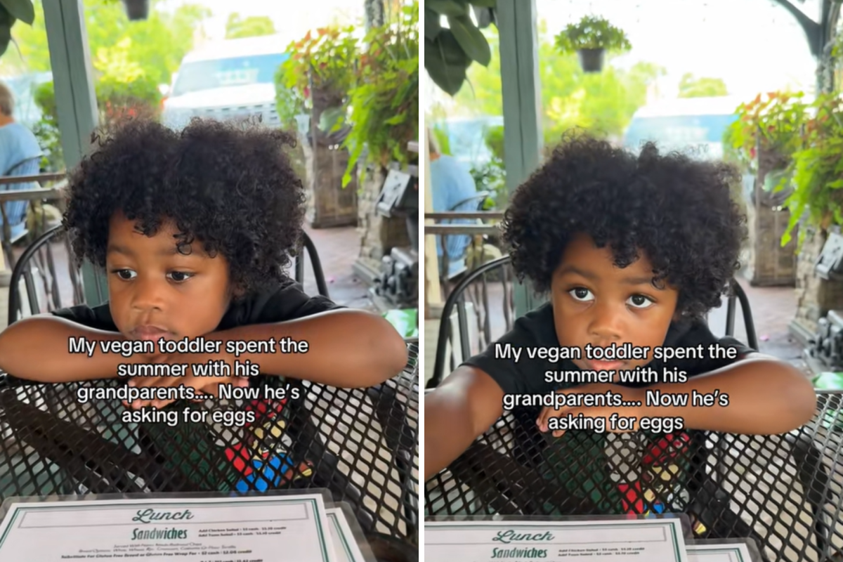 Vegan toddler asking for eggs