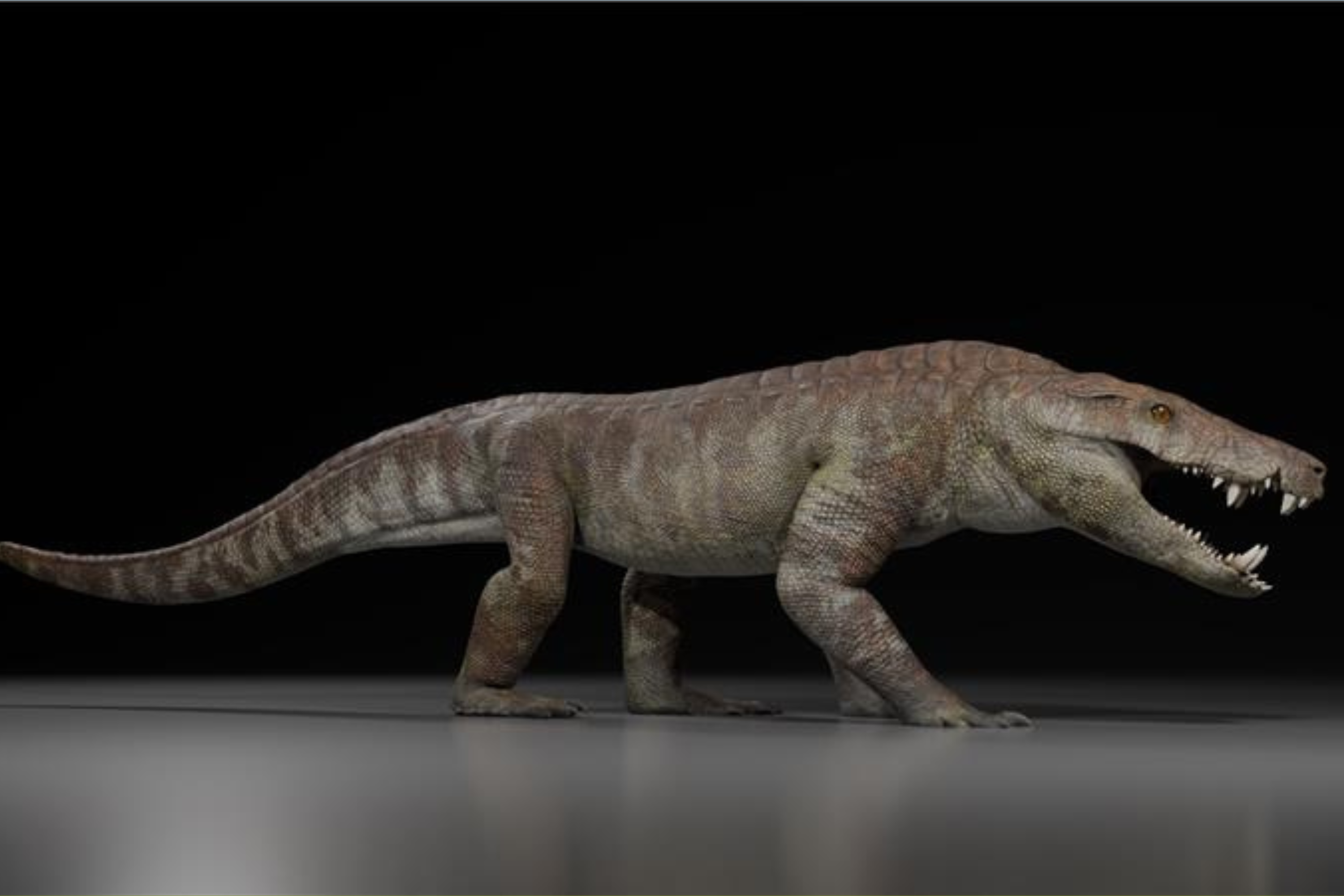 Ancient Crocodile Hypercarnivore Discovered&mdash;And It Ate Dinosaurs