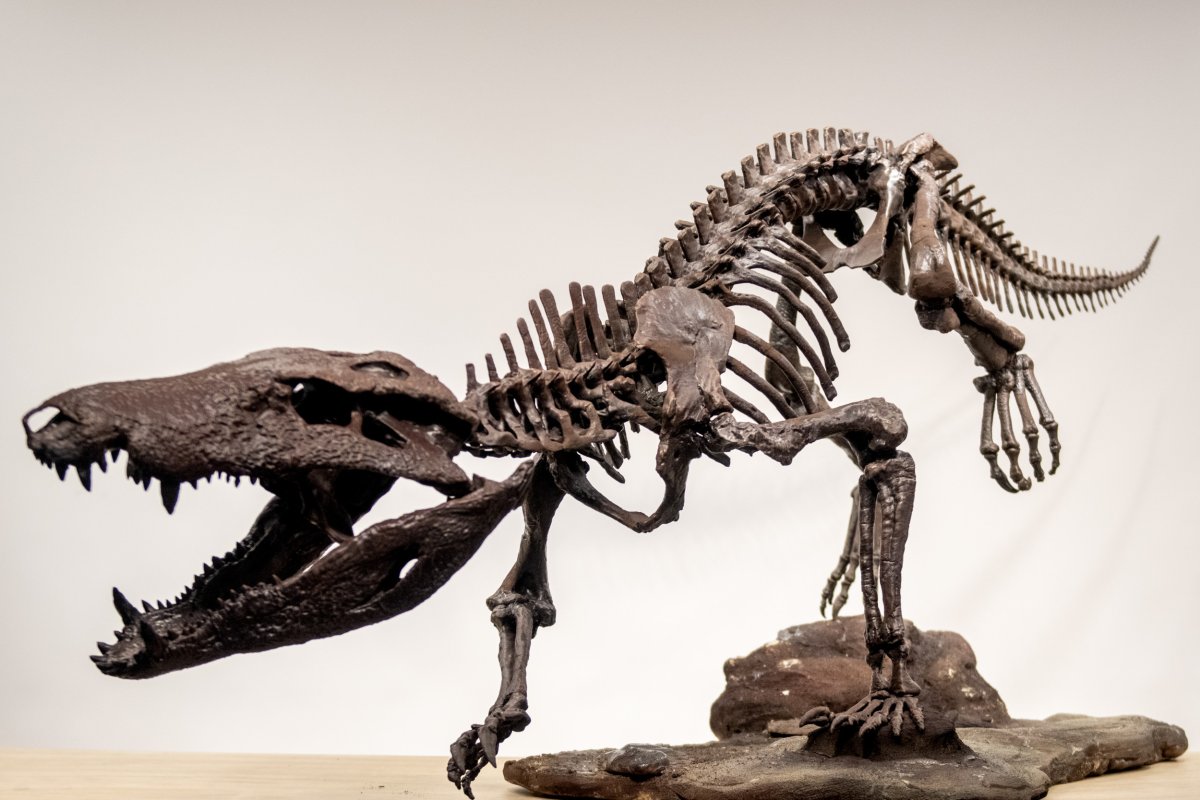 K. Cuerpo Atrox