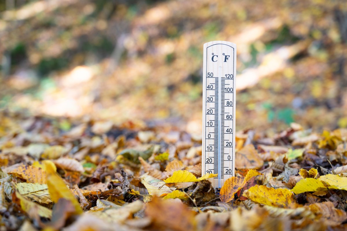 Record cold temperatures Alabama