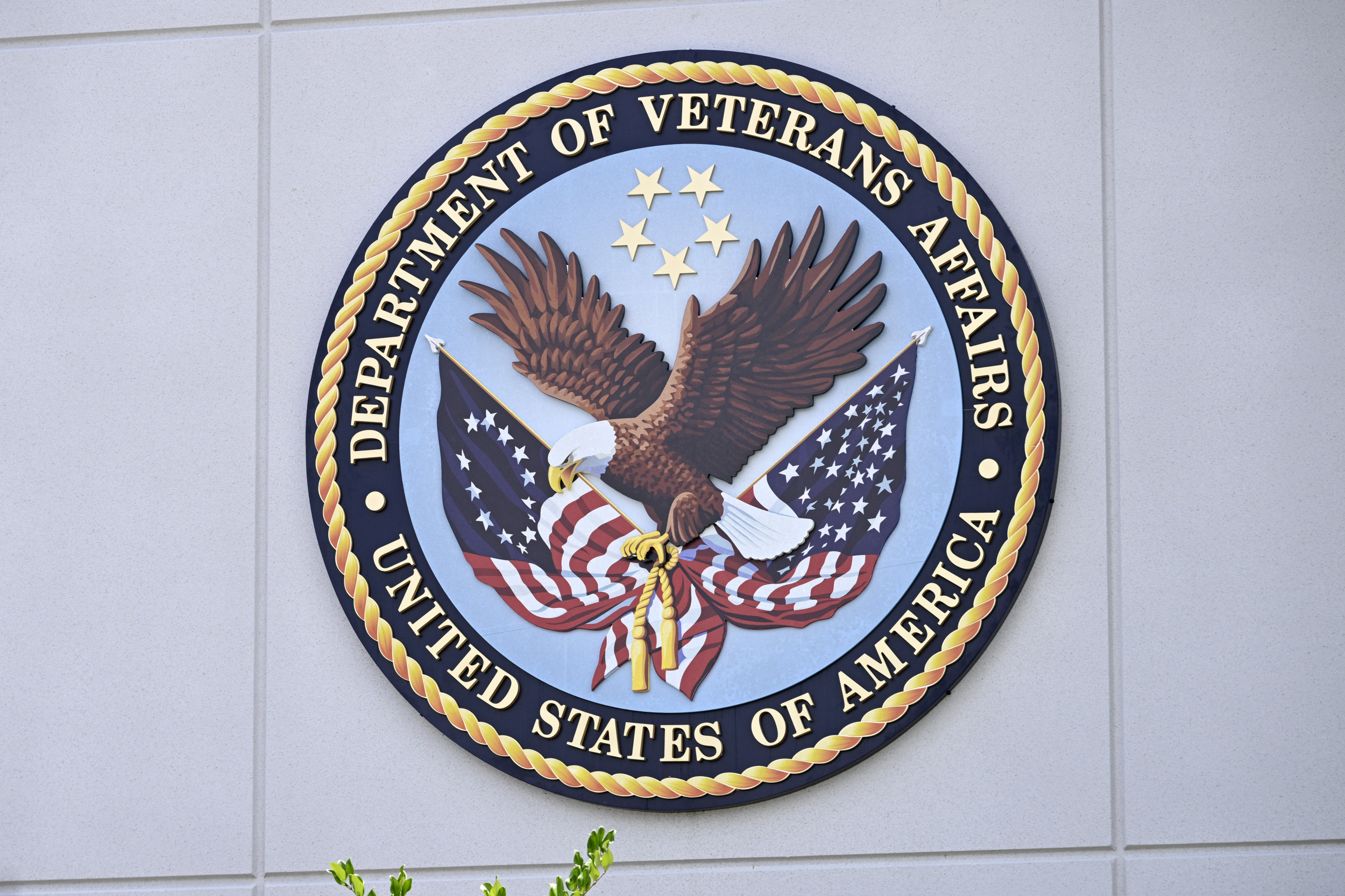 https://d.newsweek.com/en/full/2711018/department-veterans-affairs.jpg