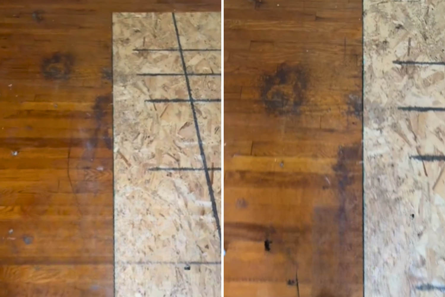 Horror As Homeowner Rips Up Carpet&mdash;Realizes Past Owner Died on the Floor