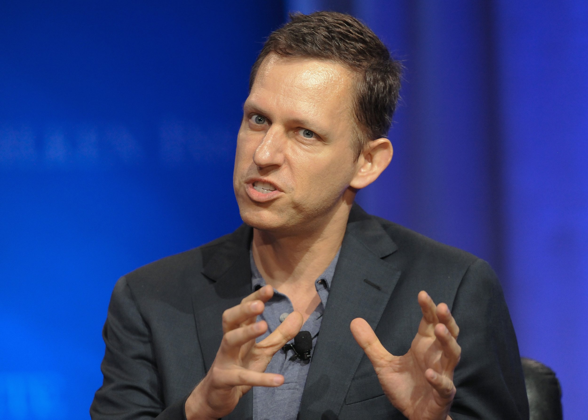 Peter Thiel, pictured in 2013.