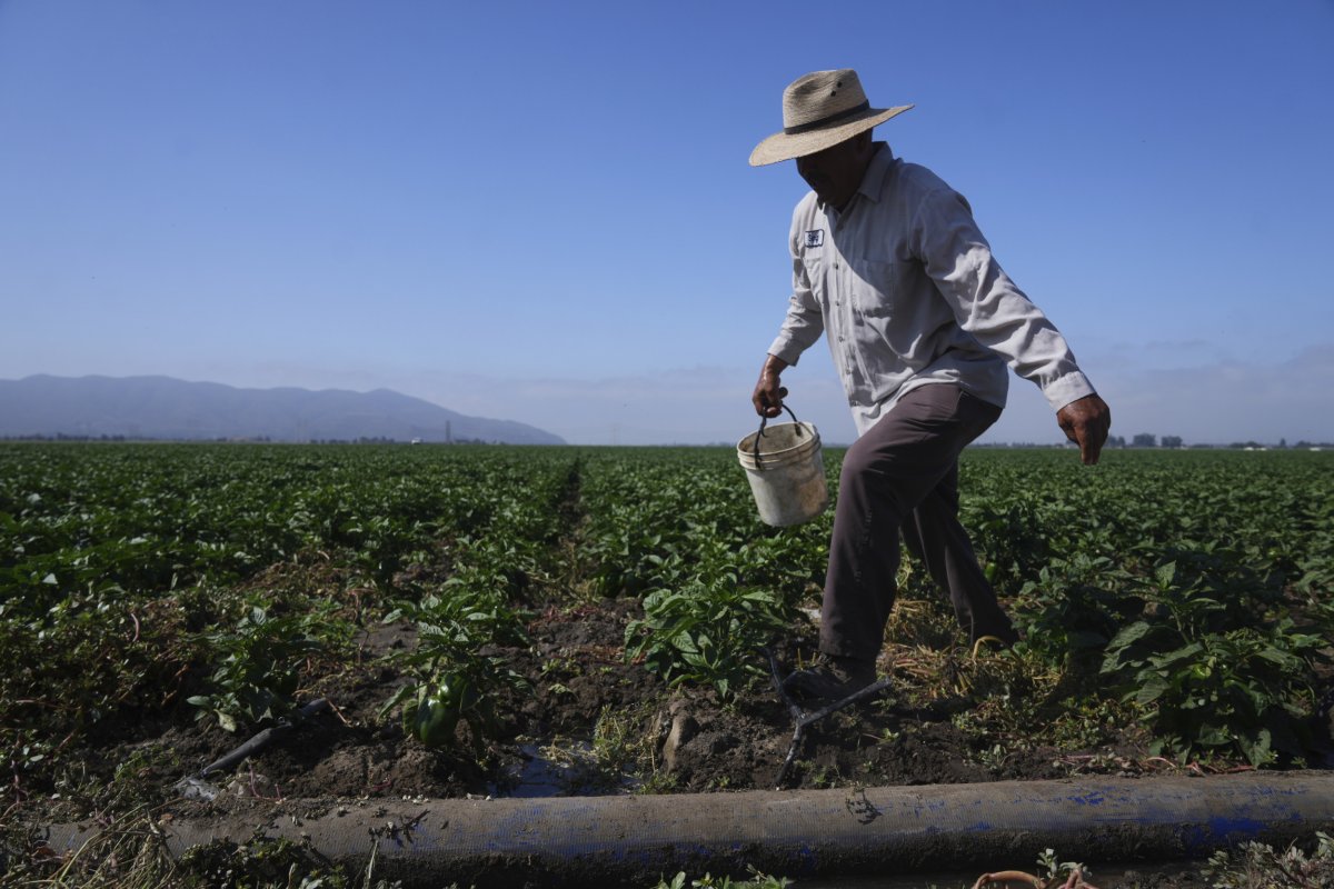Farm worker